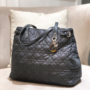 Christian Dior Black Panarea Bag