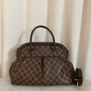 Louis Vuitton Damier Ebene Trevi PM Bag
