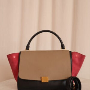 Celine Tricolor Trapeze Shoulder Bag