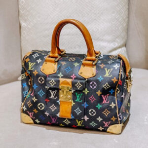 Louis Vuitton Black Multicolor Speedy 30 Bag