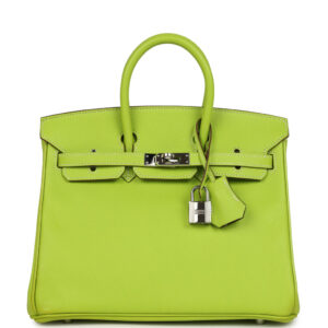 Pre-owned Hermes Candy Birkin 25 Kiwi Candy Epsom Palladium Hardware