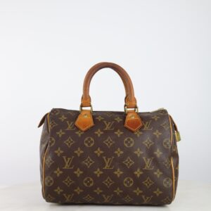 Louis Vuitton Monogram Speedy 25 Tote Bag