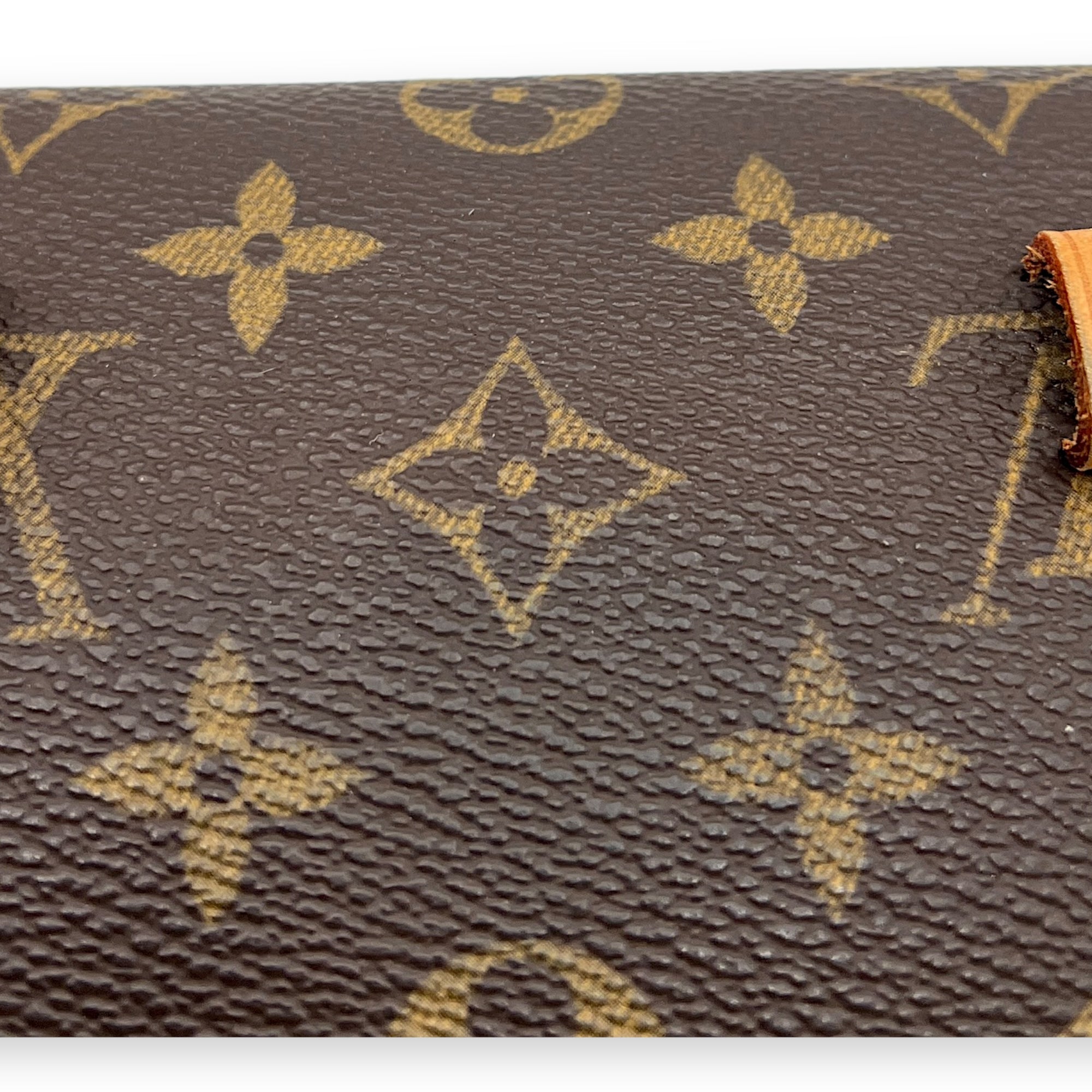 Florentine Belt Bag Brown in Monogram Coated Canvas, Gold hardware - Image 9