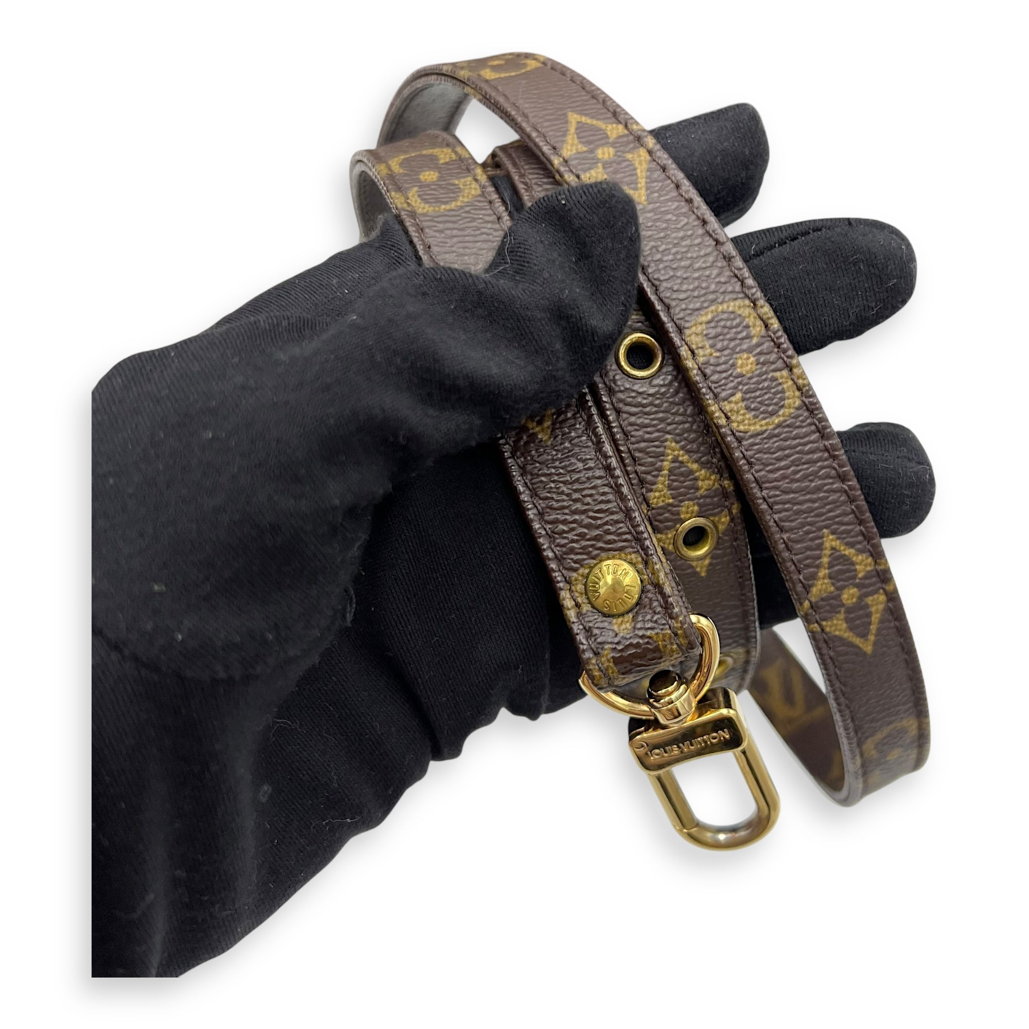 Trouville Top Handle Bag Brown in Monogram Coated Canvas, Gold hardware - Image 11