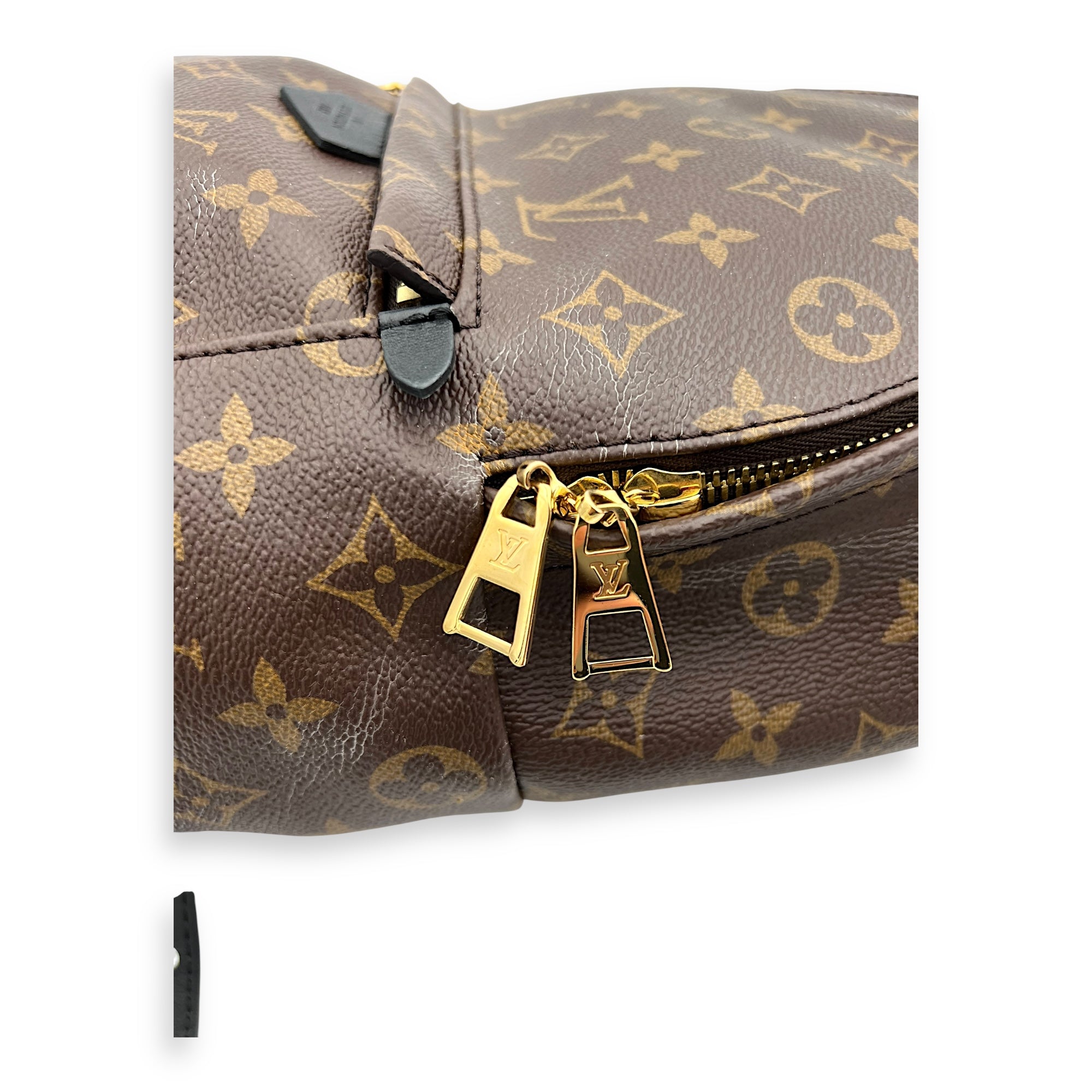 Palm Springs PM Brown Backpack in Monogram Coated Canvas, Gold hardware - Image 13