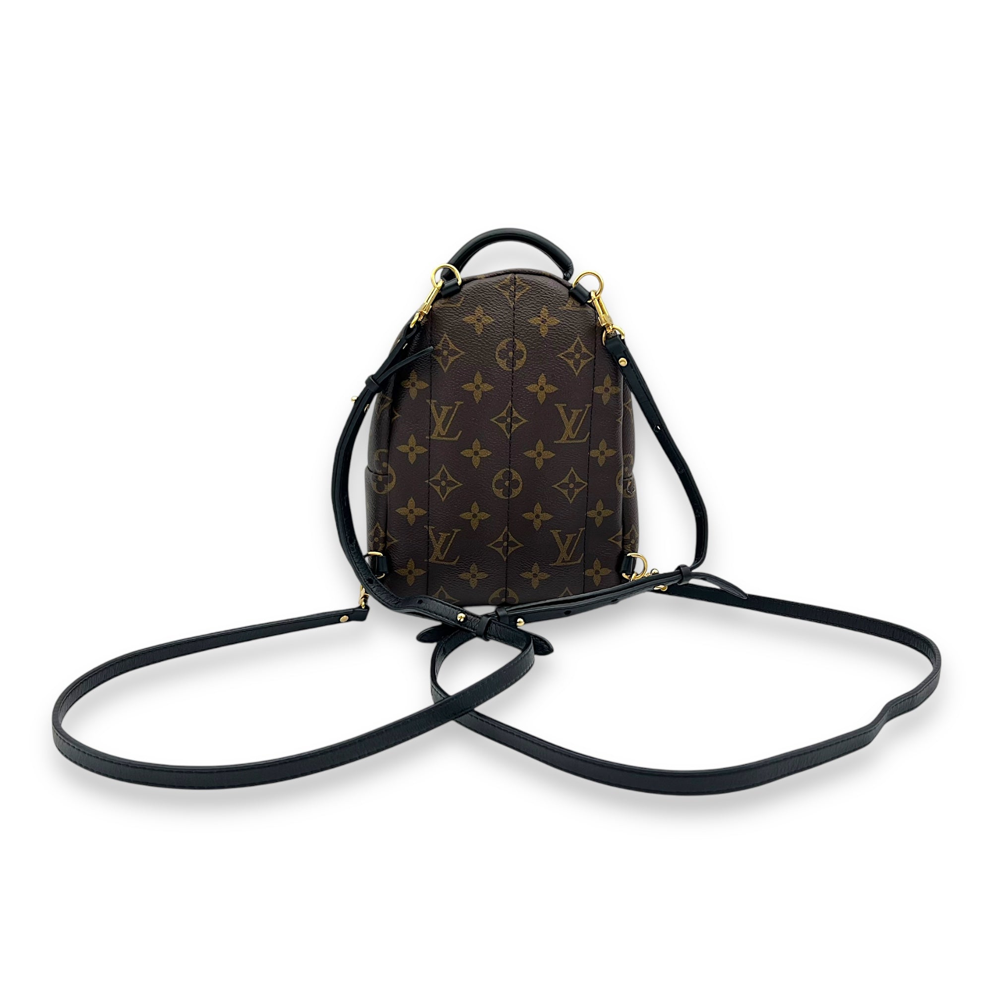 Palm Springs Backpack Brown in Monogram Coated Canvas, Gold hardware - Image 10