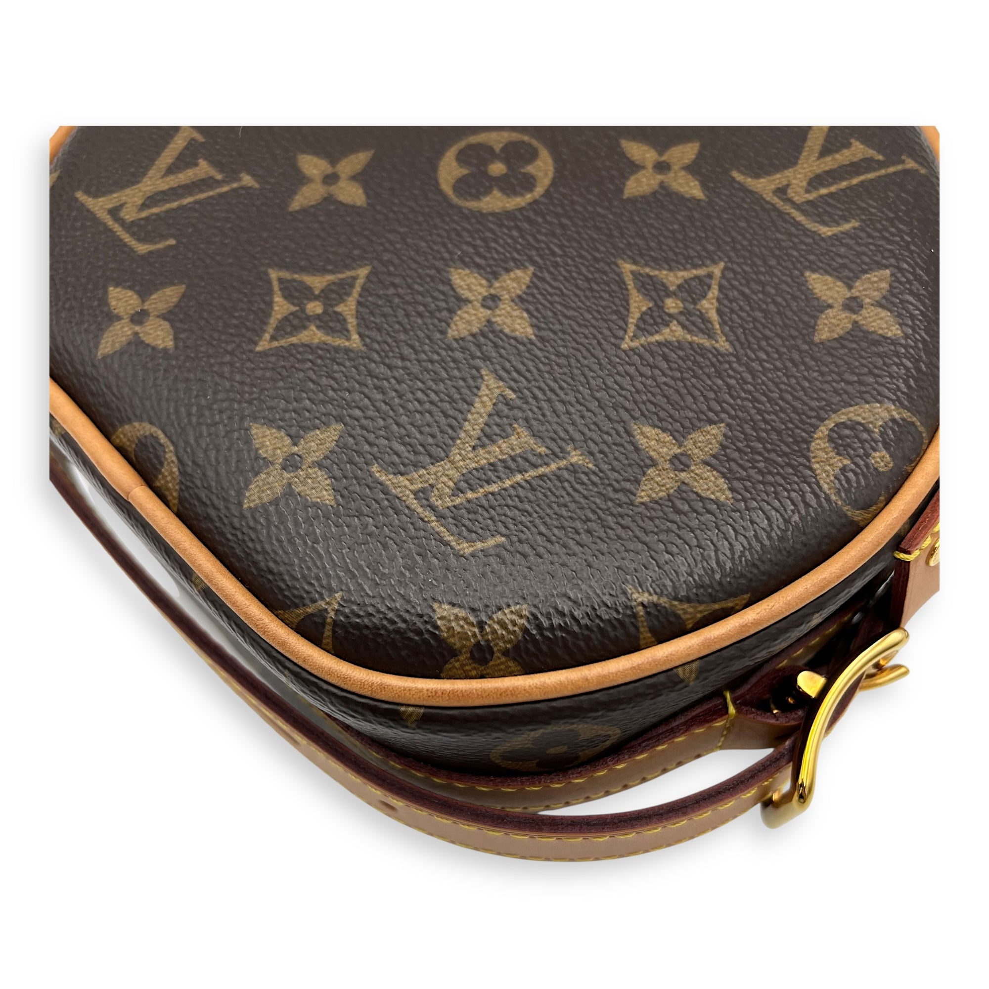 Boite a Chapeau PM Brown Crossbody Bag in Monogram Coated Canvas, Gold hardware - Image 12