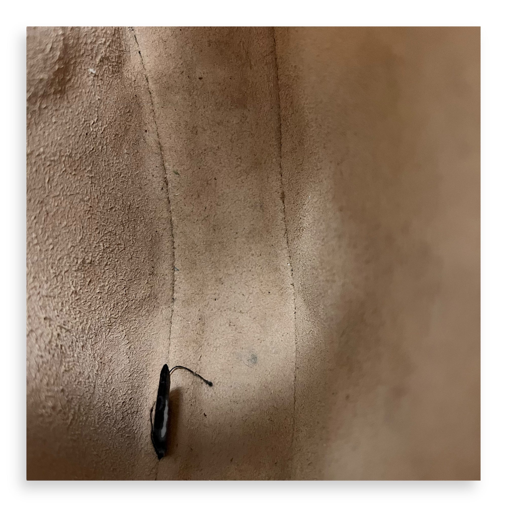 Ophidia Crossbody Bag Black in Calfskin, Gold hardware - Image 8