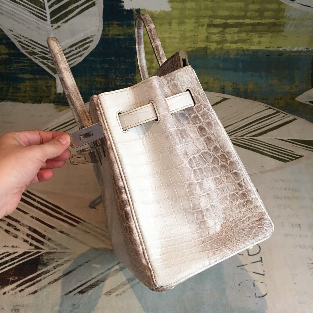 Hermes Birkin 30 Bag In Himalaya Niloticus Crocodile Skin - Image 5