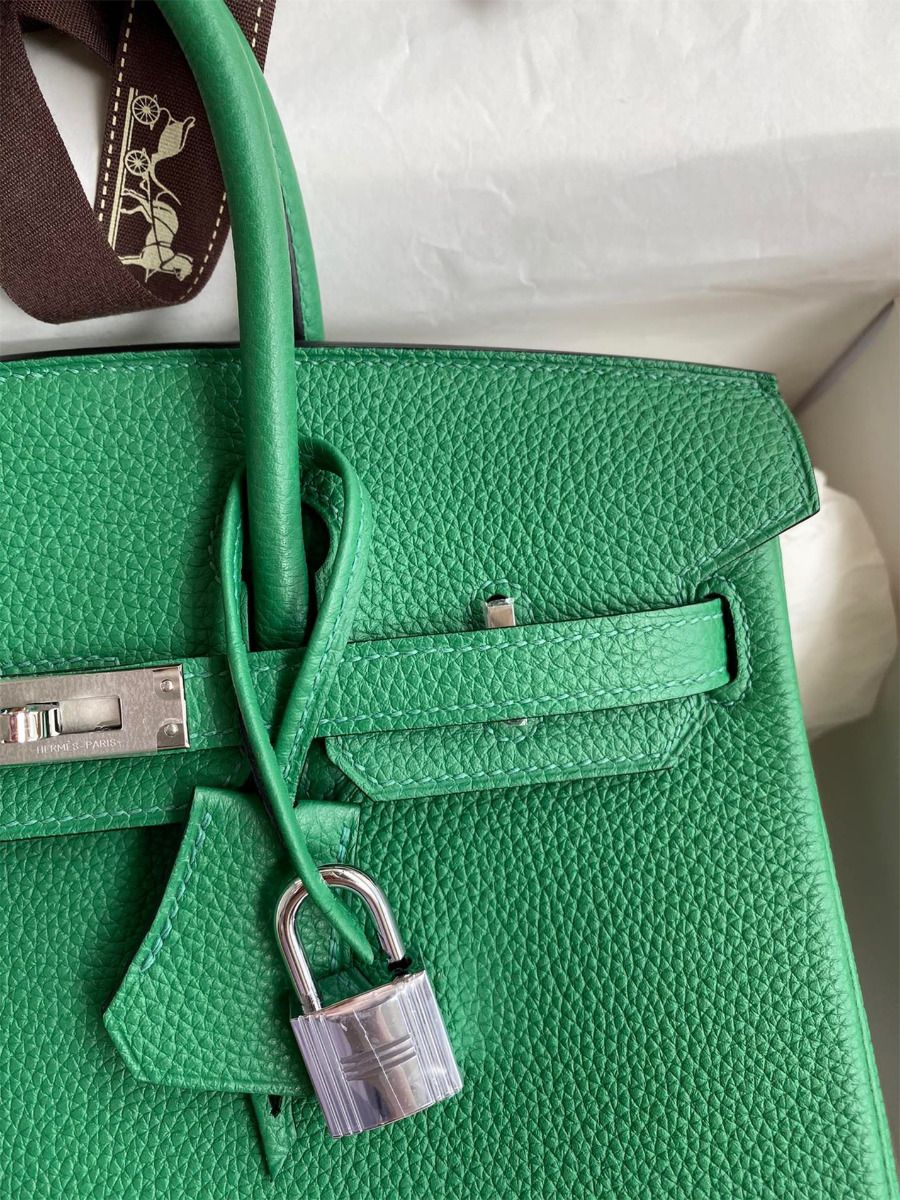 Hermes Birkin 25 Retourne Handmade Bag In Vert Vertigo Clemence Leather - Image 4