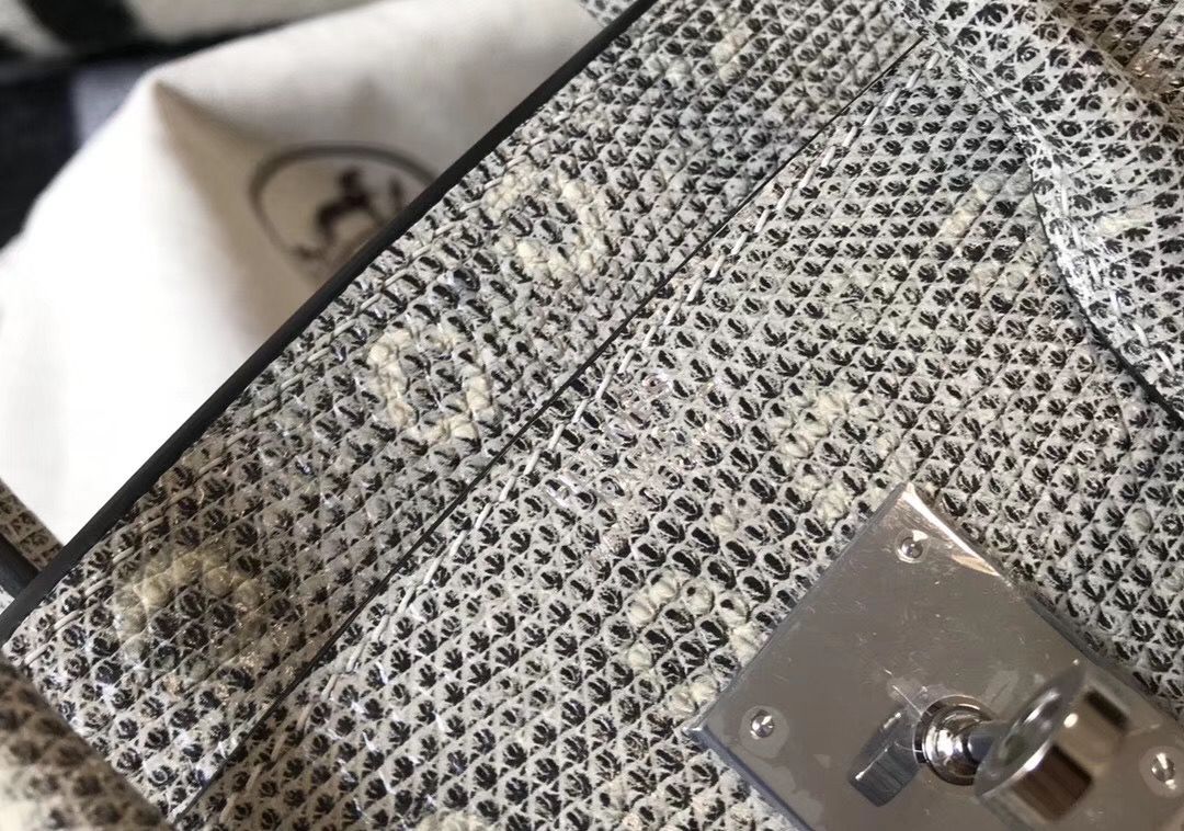 Hermes Birkin 25cm Bag In Ombre Embossed Natural Lizard - Image 7