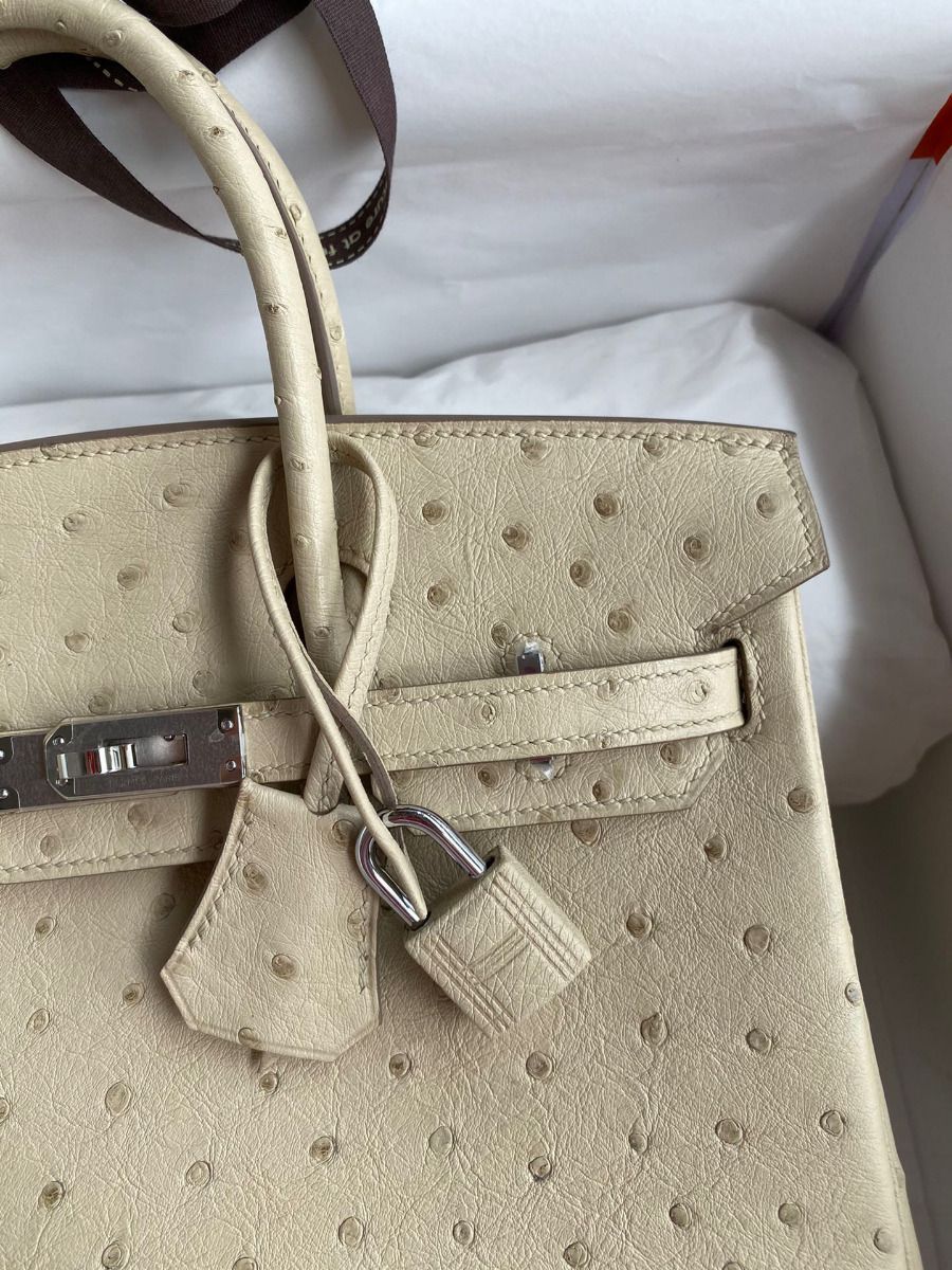 Hermes Birkin 25 Retourne Handmade Bag In Parchemin Ostrich Leather - Image 4