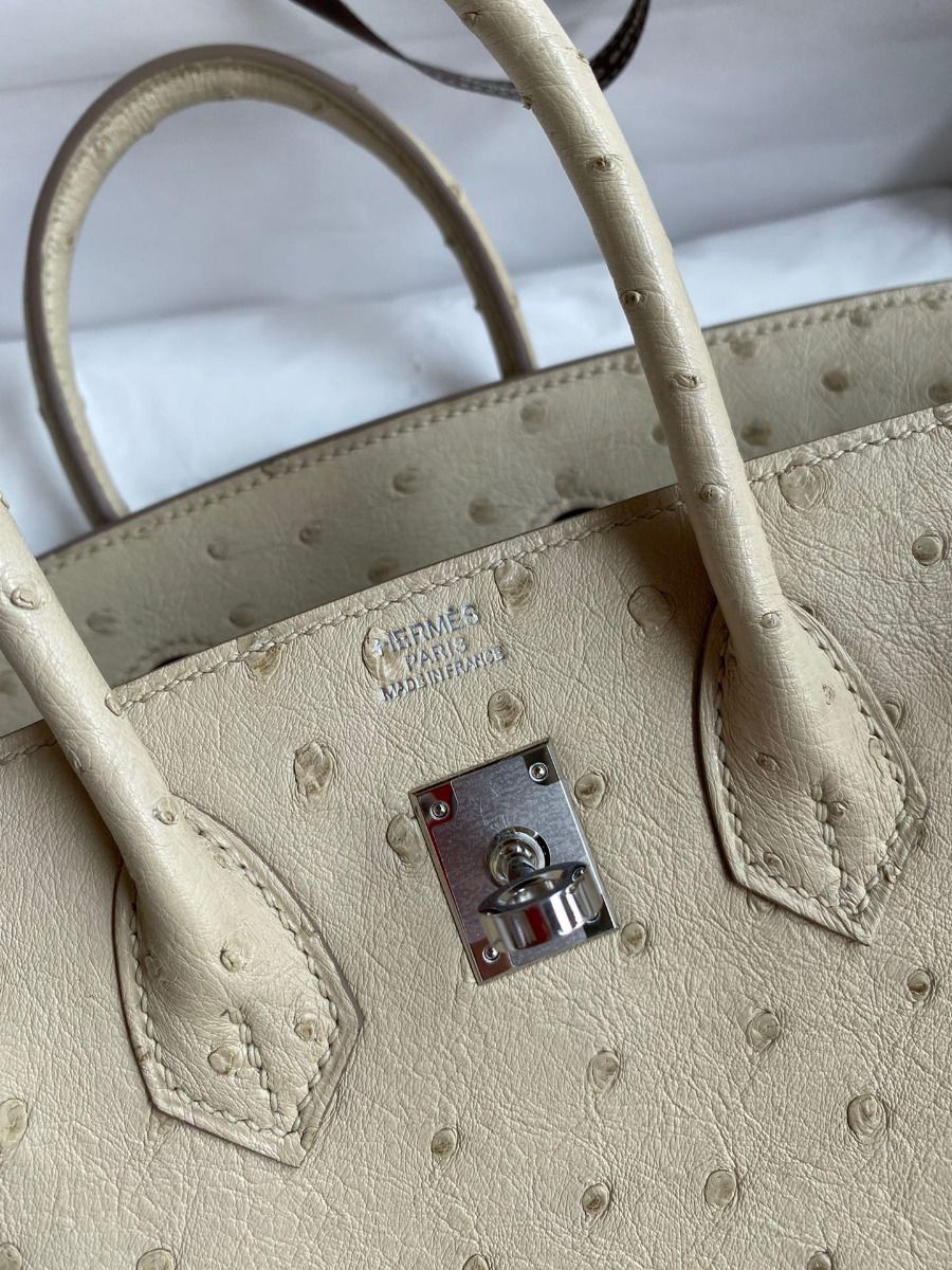 Hermes Birkin 25 Retourne Handmade Bag In Parchemin Ostrich Leather - Image 7