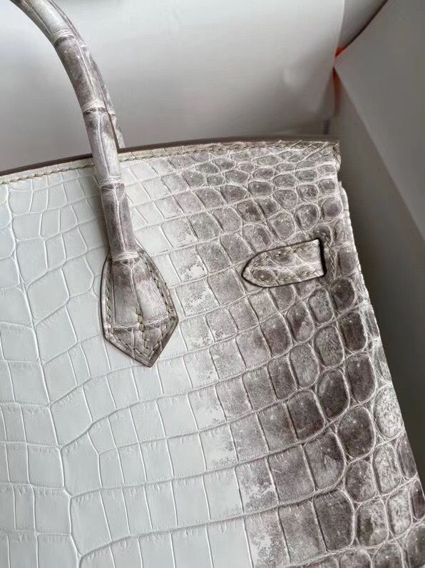 Hermes Diamond Birkin 25cm In Himalaya Niloticus Crocodile Skin - Image 5