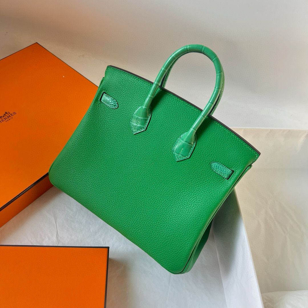 Hermes Touch Birkin 25 Bag in Bambou Clemence and Shiny Alligator Leather - Image 8