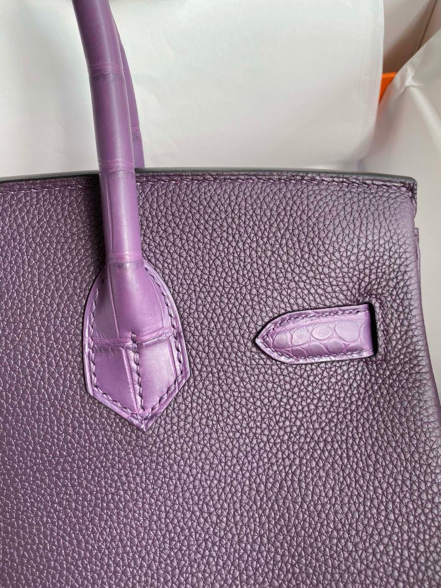 Hermes Touch Birkin 30 Bag in Raisin Clemence and Matte Alligator Leather - Image 5