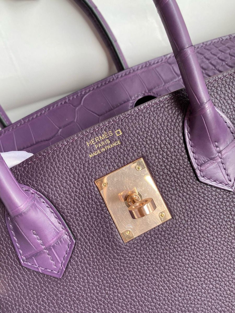 Hermes Touch Birkin 30 Bag in Raisin Clemence and Matte Alligator Leather - Image 7