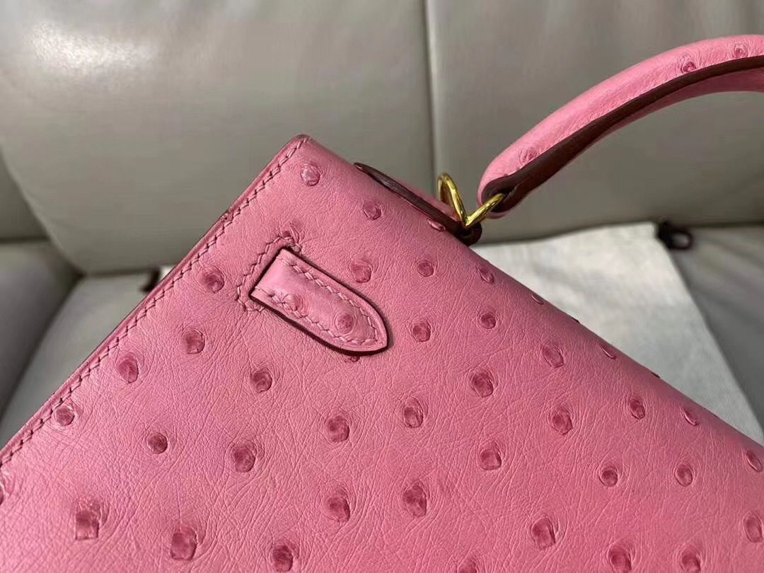 Hermes Kelly 25cm Handmade Bag In Terre Cutie Ostrich Skin - Image 7