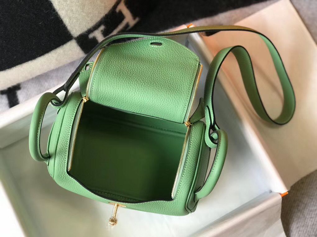 Hermes Lindy Mini Bag In Vert Criquet Clemence Leather GHW - Image 9